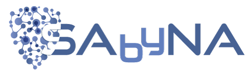 H2020 SAbyNA